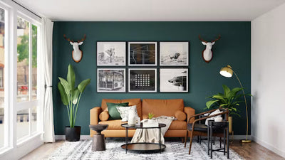 Home & Living